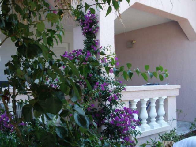Apartments Mirjana - Stara Novalja Exterior foto